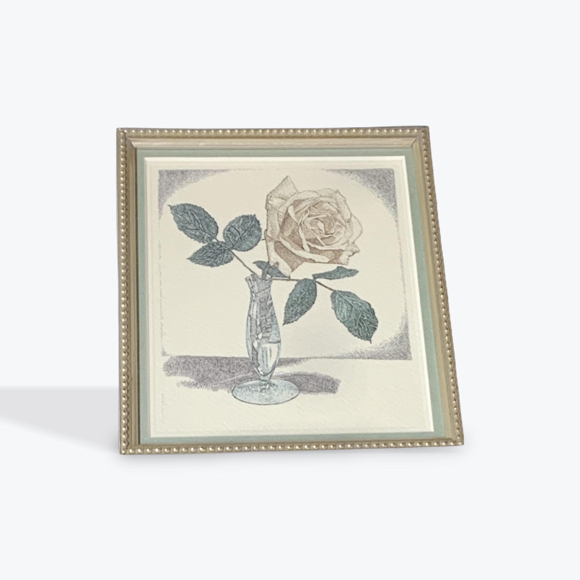 Rose in vase