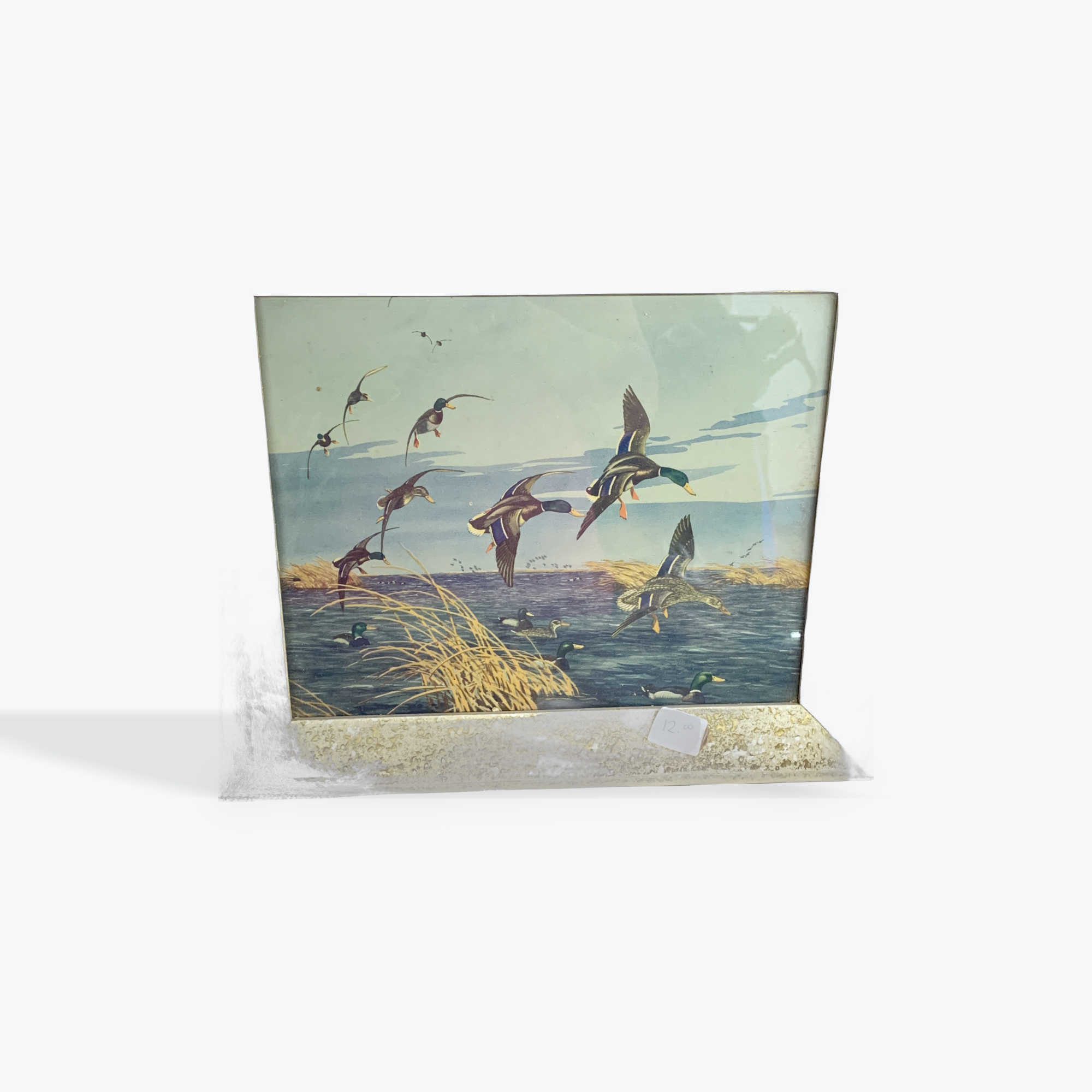 Flying ducks pics