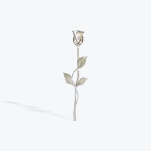 silver rose