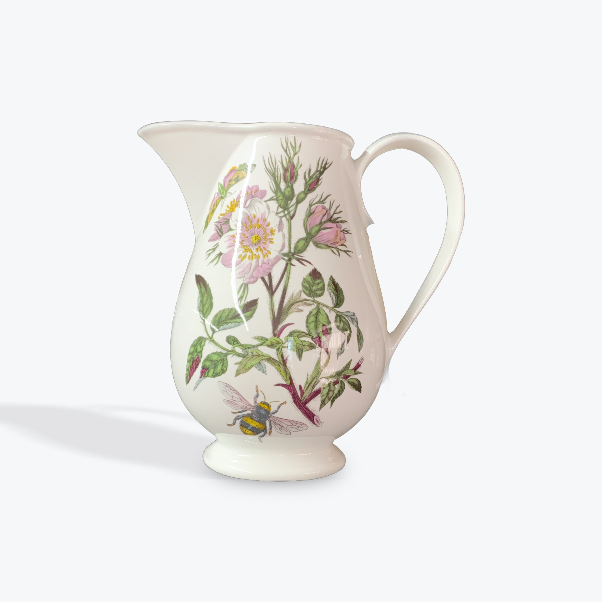 The botanical garden pitcher