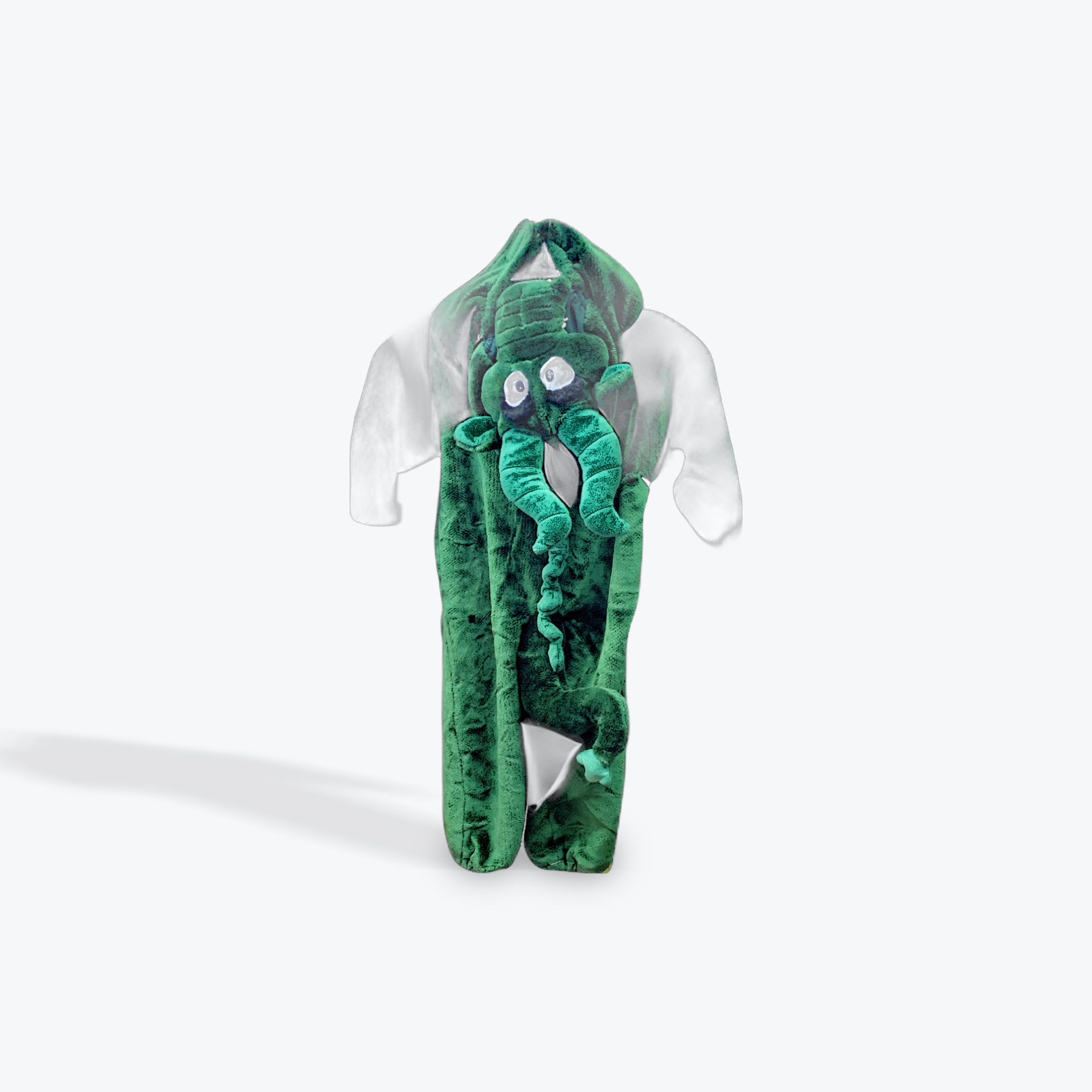 Costume Green Dragon